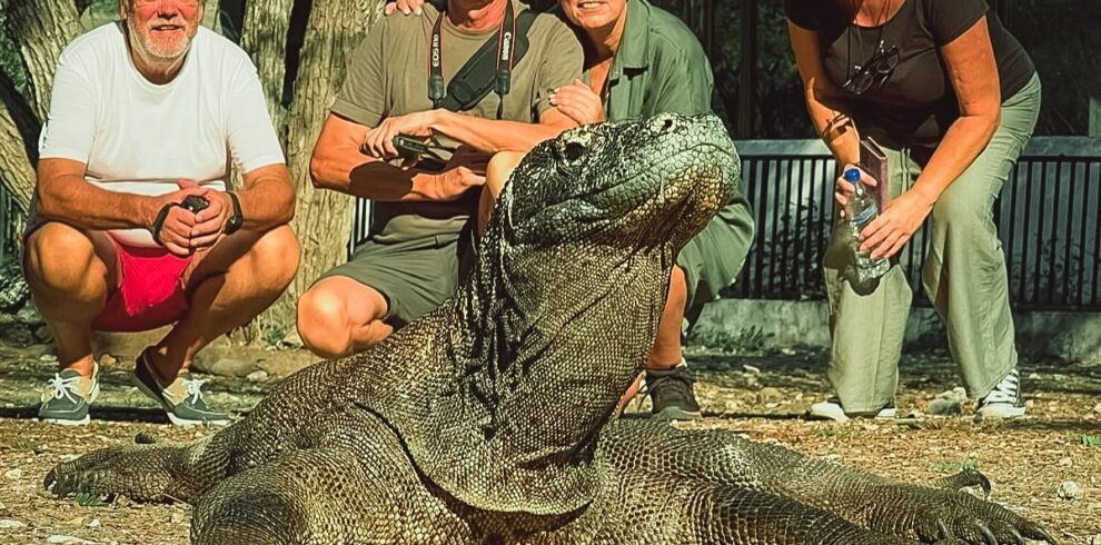 Have an extraordinary vacation seeing Komodo Dragons#pesonamutiaranusantara #pmnlabuanbajo #labu (1)