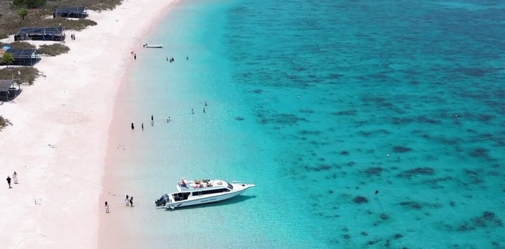 #pinkbeachkomodo